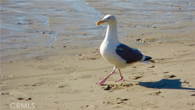 33908 Cape Cove, Dana Point CA: https://media.crmls.org/medias/d132c8d1-2f88-40cb-81c6-39d158e92956.jpg