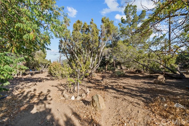 Detail Gallery Image 48 of 54 For 8676 Sky Line Dr, Pinon Hills,  CA 92372 - 3 Beds | 2/1 Baths