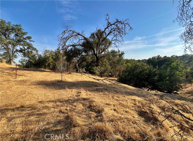 44293 Copper Creek Way, Coarsegold CA: https://media.crmls.org/medias/d13ae422-cc8b-4fa7-9325-5d16ccbeefa3.jpg