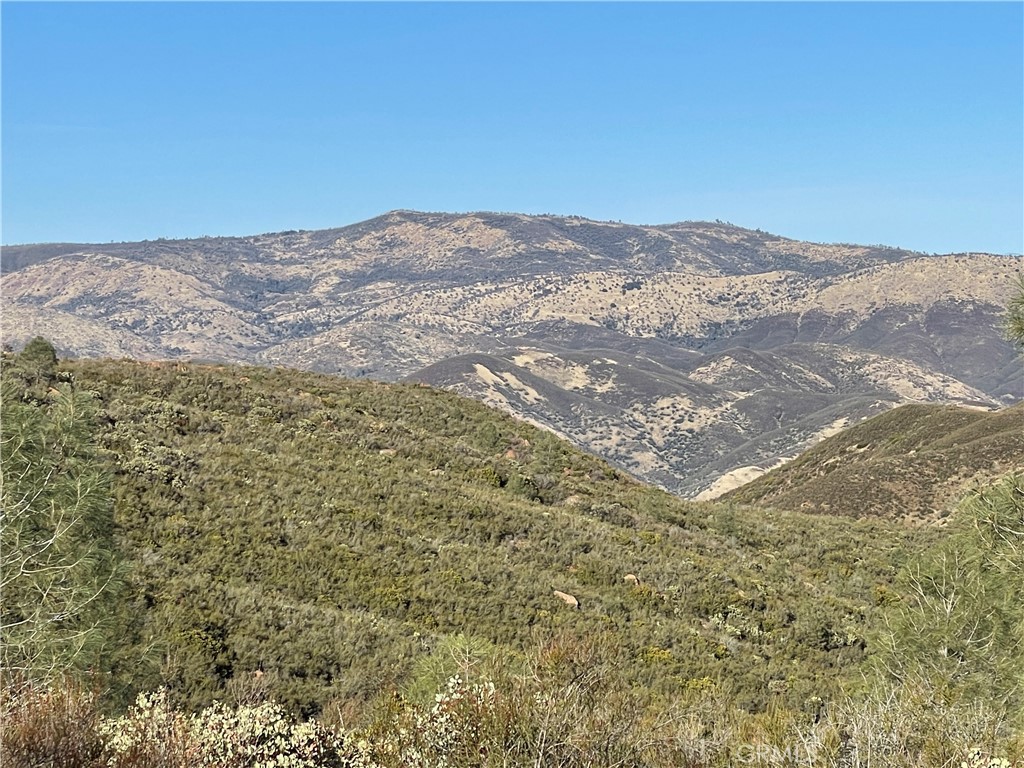 MLS #MP24250219 image #2