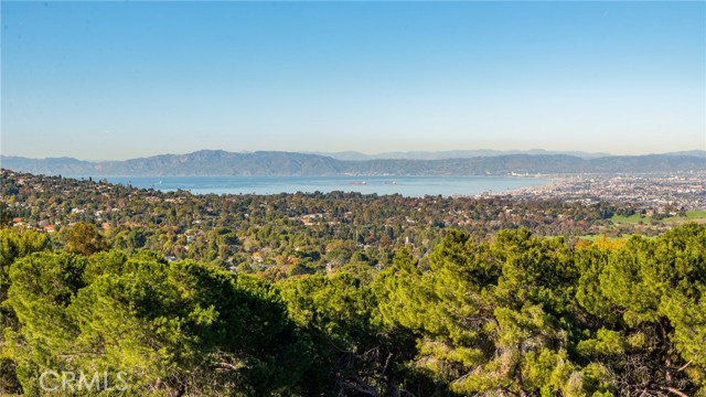 80 Saddleback, Rolling Hills CA: https://media.crmls.org/medias/d13c42c3-2d10-4ed0-b4df-3e1bb6aee684.jpg