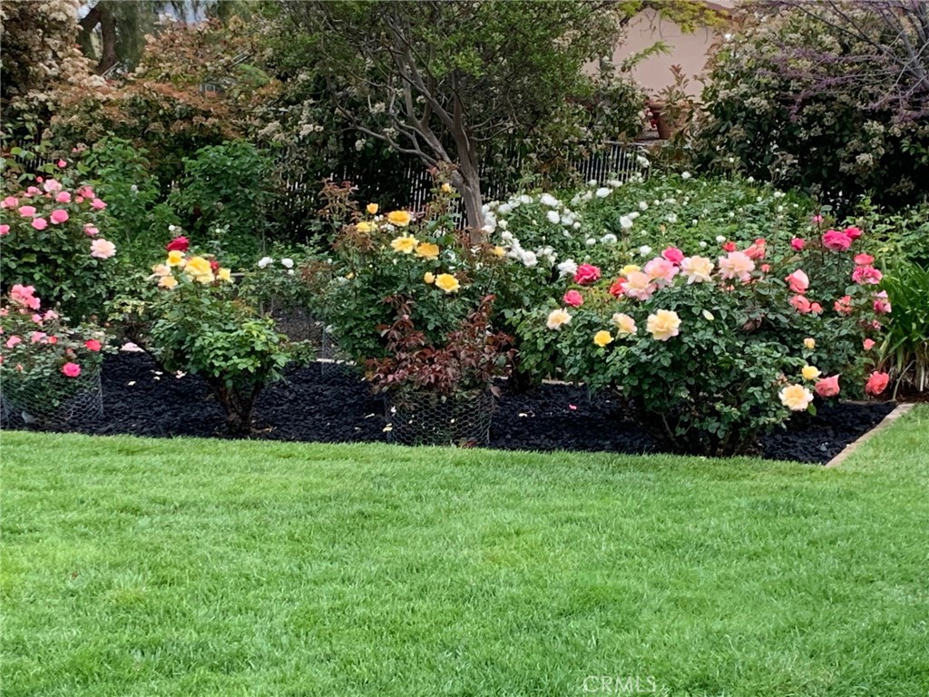 https://media.crmls.org/medias/d140c5b2-2bda-45c2-9ff0-f1a6689c90b3.jpg?preset=X-Large
