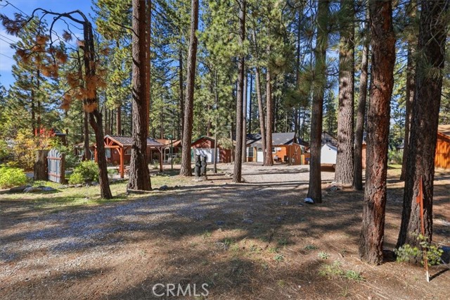 42770 Cedar, Big Bear Lake, CA 92315