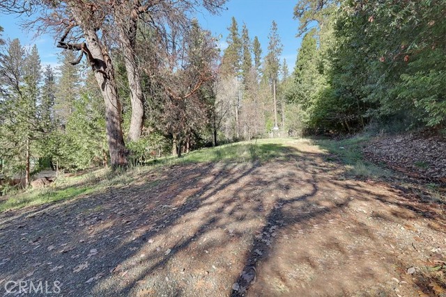 Image 39 of 54 For 18123 Joy Circle