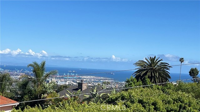 My cell phone pic.from 4/11/26.