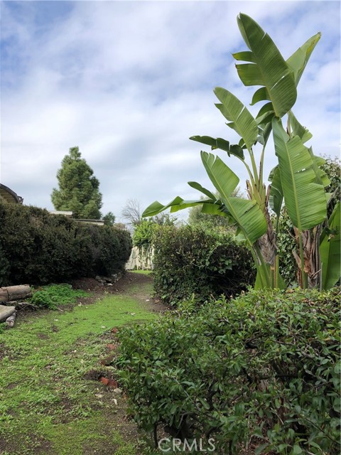 3739 Palos Verdes Drive North, Rolling Hills Estates, California 90274, 3 Bedrooms Bedrooms, ,2 BathroomsBathrooms,Residential,Sold,Palos Verdes Drive North,SB22240863