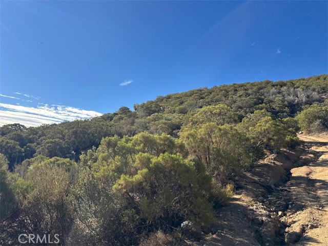 0 Chapman Road, Anza CA: https://media.crmls.org/medias/d14d62ab-5f19-48b5-bc65-b76a5d4b09e7.jpg