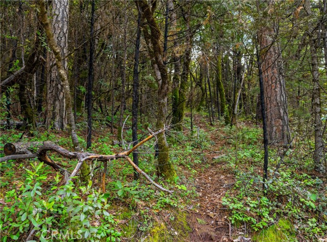 Image 13 of 24 For 21324 Aqueduct Circle