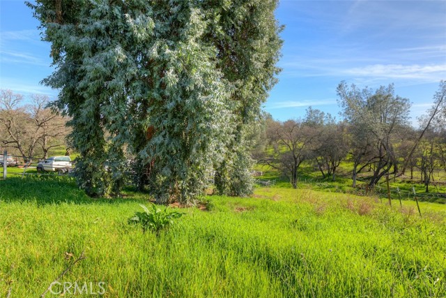 Detail Gallery Image 43 of 52 For 2454 Oro Quincy, Oroville,  CA 95966 - 2 Beds | 2 Baths