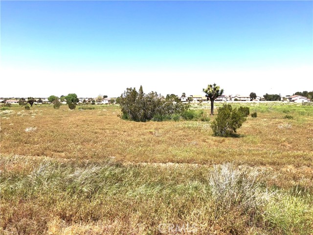 Detail Gallery Image 4 of 5 For 0 Palomino Ct/Cor E Ave S-12, Palmdale,  CA 93550 - – Beds | – Baths