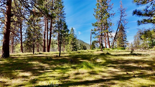 Image 43 of 54 For 0 S Lang Way