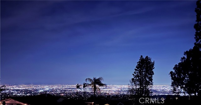 Mesmerizing Night View