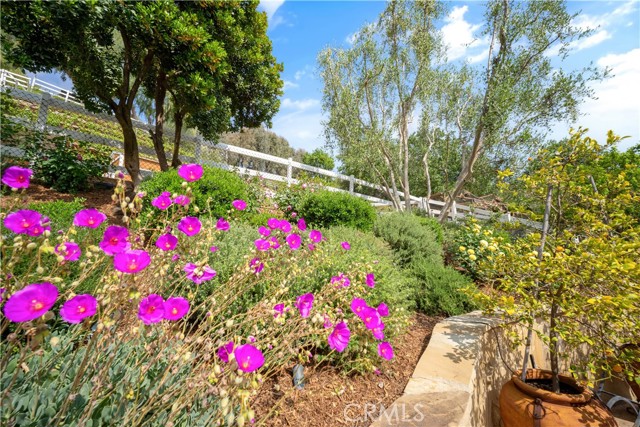 Detail Gallery Image 45 of 47 For 5558 Hoback Glen Rd, Hidden Hills,  CA 91302 - 5 Beds | 5 Baths