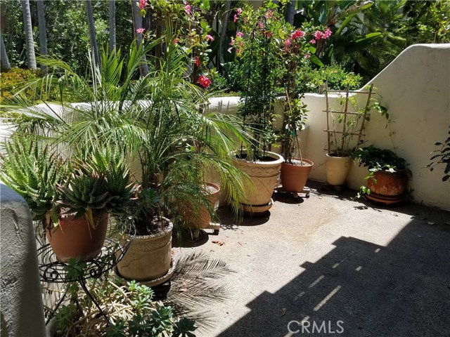 8694 Villa La Jolla Drive, La Jolla CA: https://media.crmls.org/medias/d160b1f4-d65e-4901-817a-c67e0f15e772.jpg