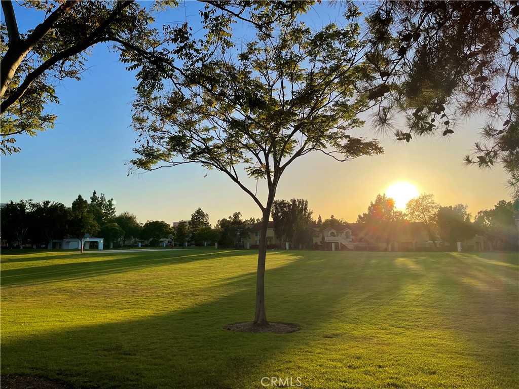 https://media.crmls.org/medias/d1625153-cc67-42f6-8165-b3503e9c66f4.jpg?preset=X-Large