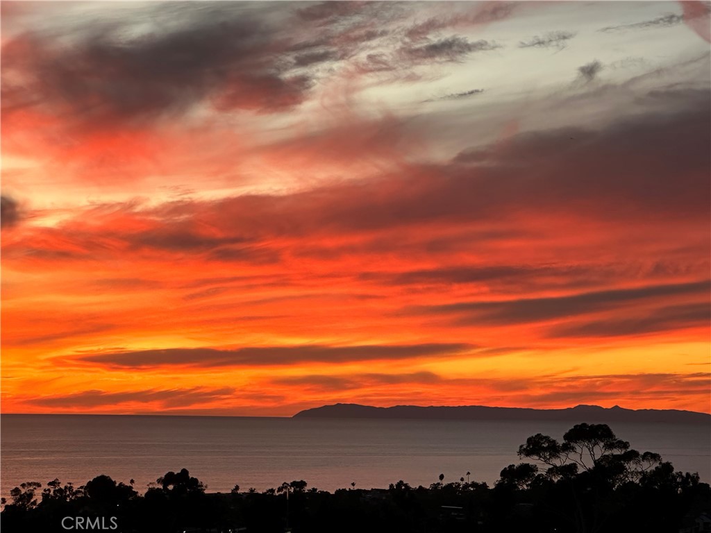 https://media.crmls.org/medias/d17127ef-1d4c-4dc4-864a-57391a6a948a.jpg?preset=X-Large