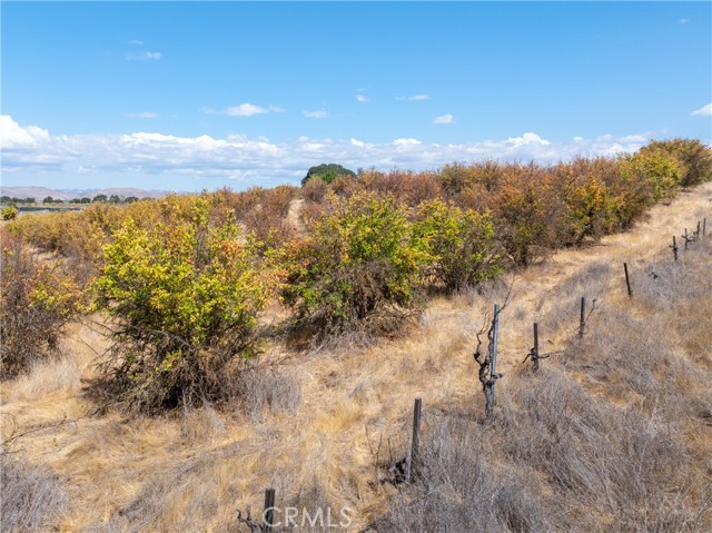27 Wellsona Road, Paso Robles CA: https://media.crmls.org/medias/d17547cc-5915-4189-b01d-9a51aa5495c9.jpg