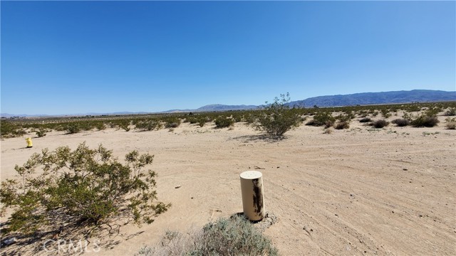 Detail Gallery Image 11 of 12 For 0 Taylor Ln, Twentynine Palms,  CA 92277 - – Beds | – Baths