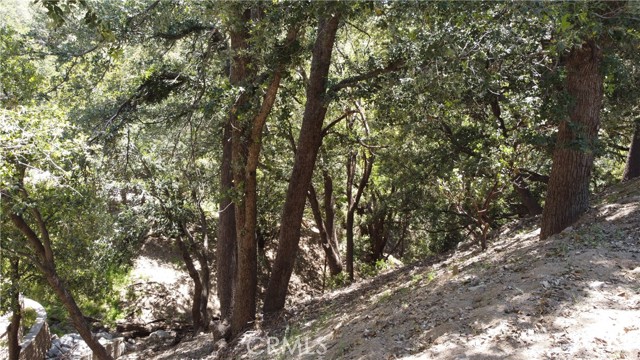 0 Berne Drive, Crestline, California 92325, ,Land,For Sale,0 Berne Drive,CRHD22154179