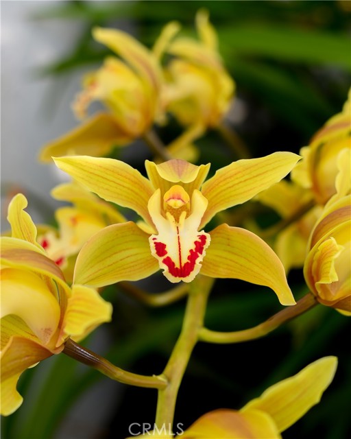 Detail Gallery Image 45 of 47 For 1811 Maiden Ln, Petaluma,  CA 94954 - 5 Beds | 3 Baths