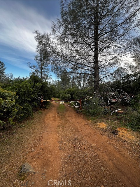 Detail Gallery Image 6 of 9 For 0 Donkey Mine Rd, Oak Run,  CA 96069 - – Beds | – Baths