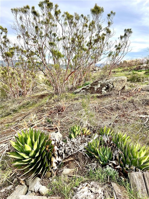 Detail Gallery Image 13 of 21 For 1 Overton, Hemet,  CA 92544 - – Beds | – Baths