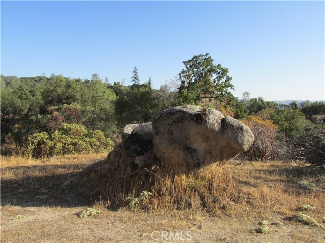 Detail Gallery Image 16 of 54 For 2 Ac Old Oaks Ct, North Fork,  CA 93643 - – Beds | – Baths