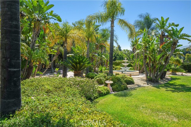 Detail Gallery Image 35 of 41 For 2124 Cervato Dr, Camarillo,  CA 93012 - 4 Beds | 2/1 Baths