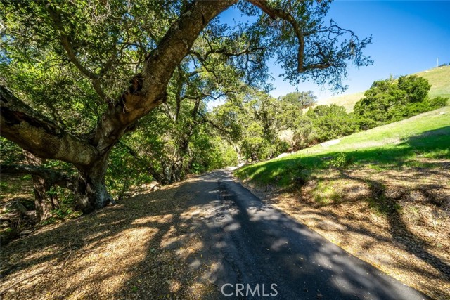 Detail Gallery Image 26 of 30 For 9190 Arroyo Del Mar, Cambria,  CA 93428 - 3 Beds | 3 Baths
