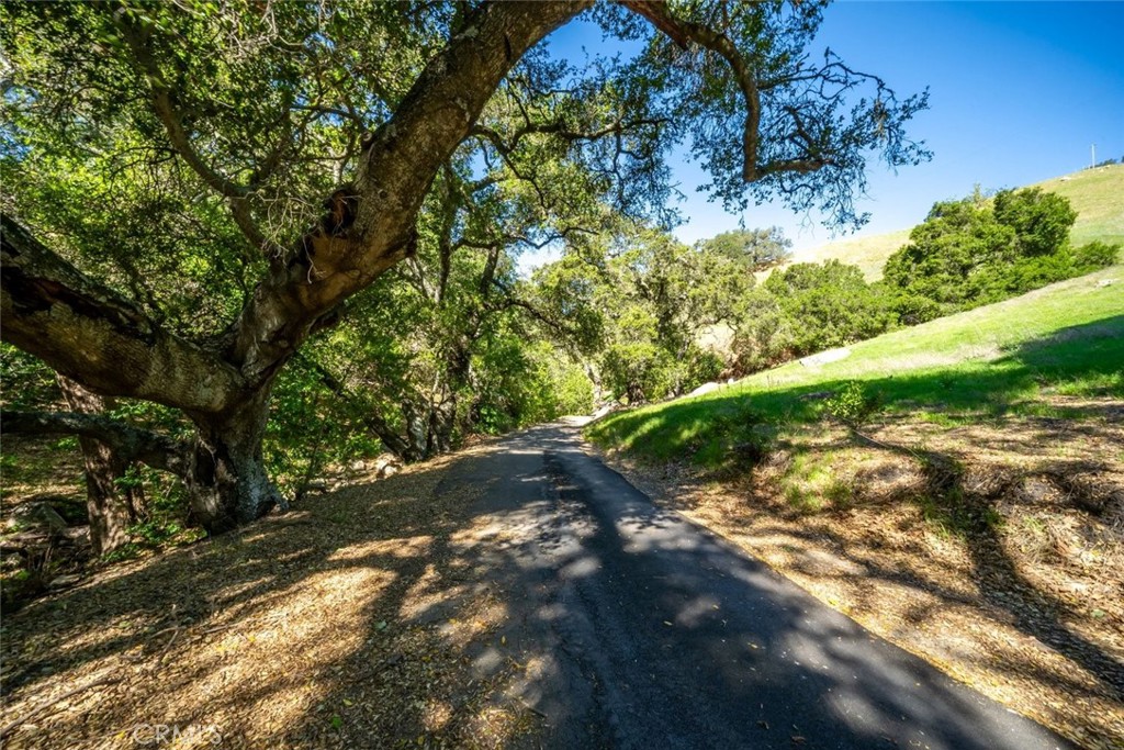 https://media.crmls.org/medias/d19d0f67-1f1c-4dd5-ac71-11067b162c72.jpg?preset=X-Large