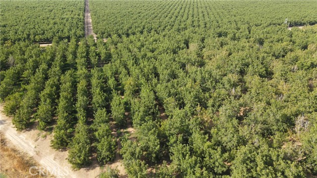 2507 S. Escalon Belotta Road,  CA: https://media.crmls.org/medias/d1a6a2fd-48b2-4b77-bf00-226210e71c8b.jpg