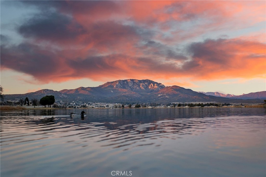 https://media.crmls.org/medias/d1ab884d-f672-4b64-99d2-81a963f01ad7.jpg?preset=X-Large