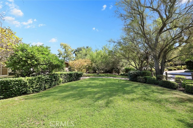 3625 Lombardy photo 4