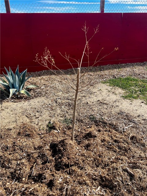 Detail Gallery Image 41 of 52 For 171 Ste Vic Avenue Q2, Palmdale,  CA 93591 - – Beds | – Baths