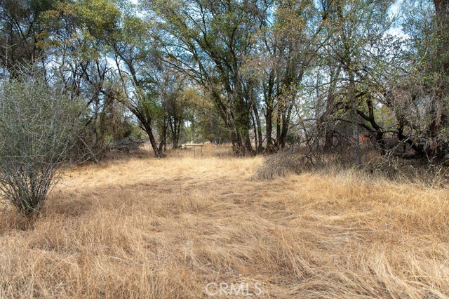 Detail Gallery Image 37 of 51 For 4343 Silver Lane Rd, Mariposa,  CA 95338 - 3 Beds | 2 Baths