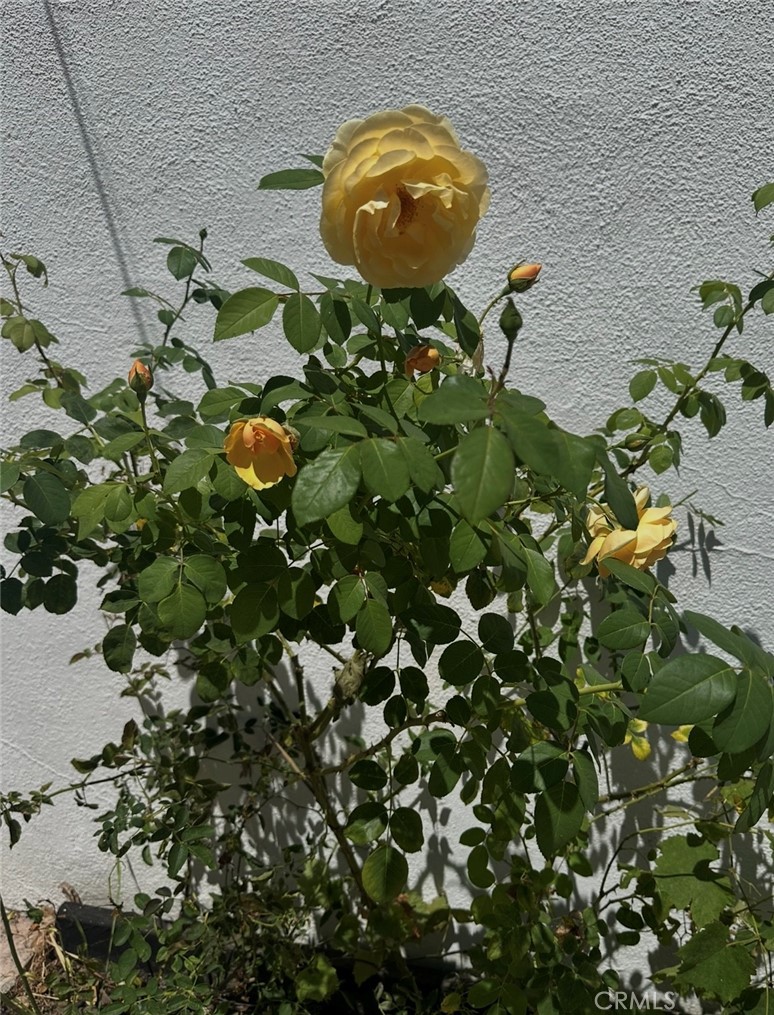 https://media.crmls.org/medias/d1d1de4b-5799-4e99-818b-fd66c8c1adba.jpg?preset=X-Large