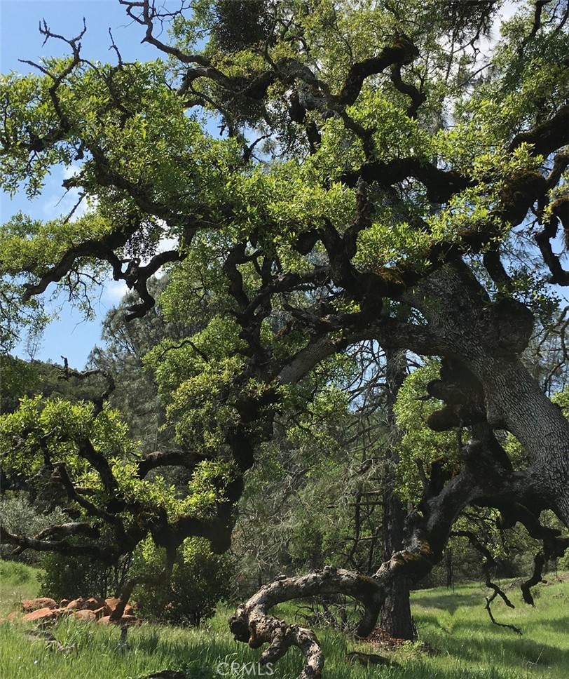 https://media.crmls.org/medias/d1dbe44e-11c2-4bfc-9d9a-4350ff20995b.jpg?preset=X-Large