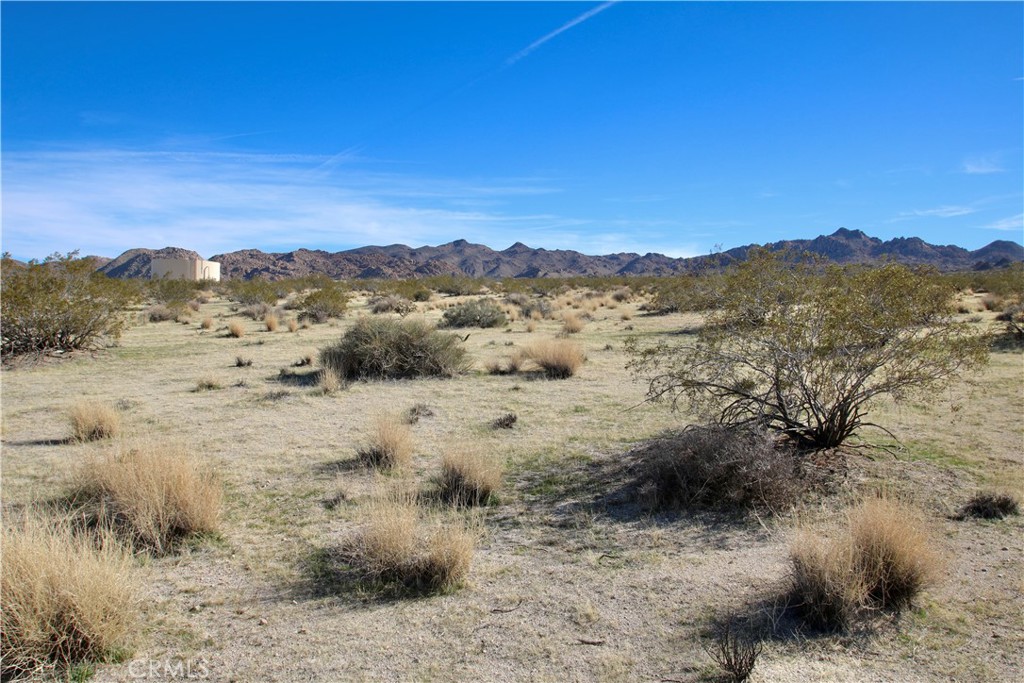 MLS #JT25065149 image #3
