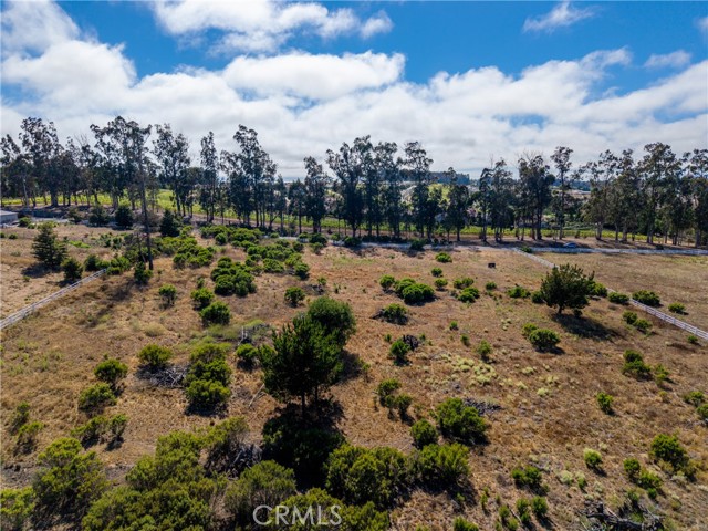 1255 Viva Way, Nipomo CA: https://media.crmls.org/medias/d1e50abb-0bf7-462e-a6cc-a2bb807fea36.jpg