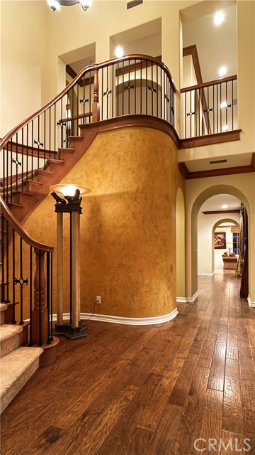 20 Coastal Oak
