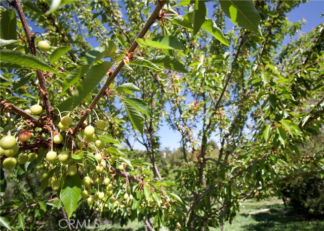 Detail Gallery Image 48 of 72 For 35159 El Dorado St, Lake Elsinore,  CA 92530 - 6 Beds | 3/1 Baths