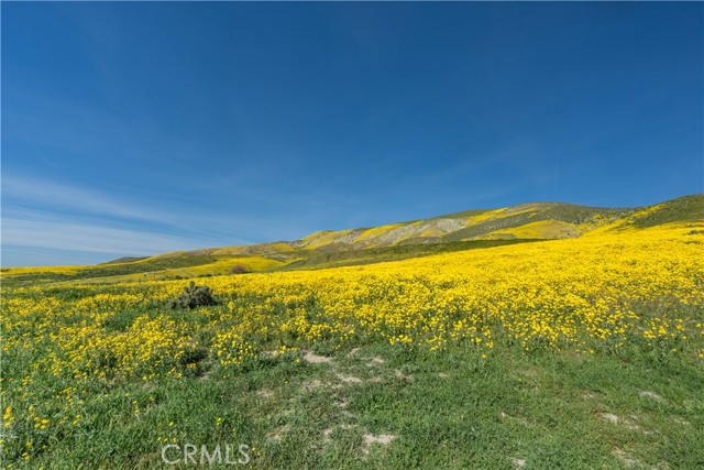 Detail Gallery Image 13 of 14 For 0 Bellflower Rd, Santa Margarita,  CA 93453 - – Beds | – Baths