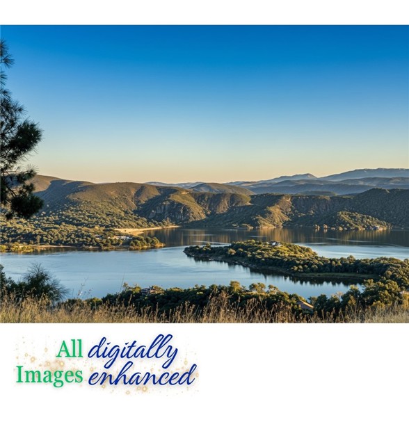 Front Image Thumbnail for CRLC25235431