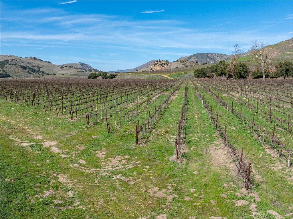 MLS #NS25230187 image #35