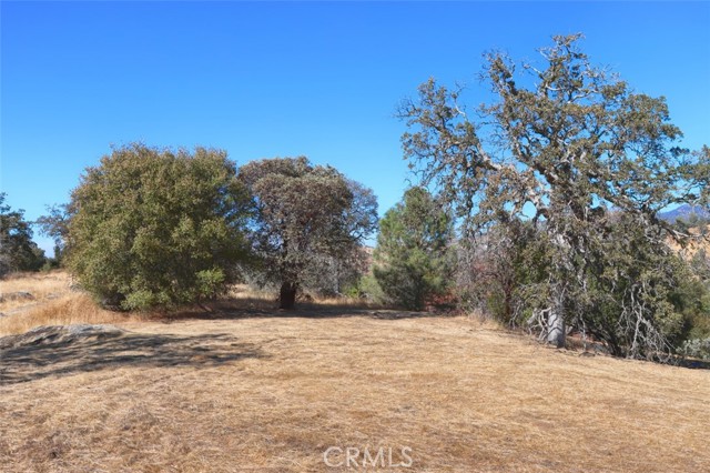 Detail Gallery Image 13 of 25 For 4 Lookoout Mountain Road, Coarsegold,  CA 93614 - – Beds | – Baths