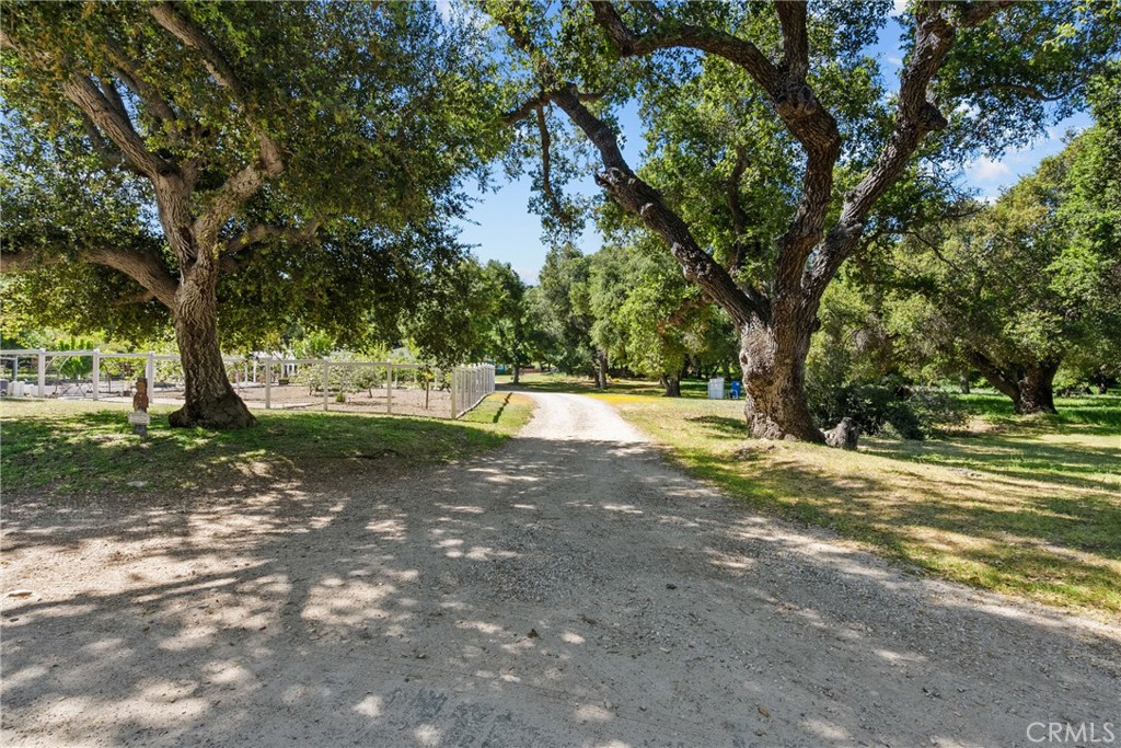 31040 Hasley Canyon Road