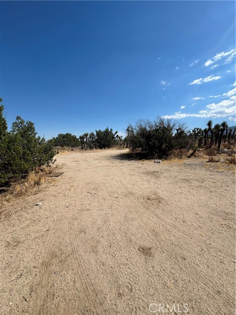 Detail Gallery Image 3 of 16 For 0 Avenue X, Llano,  CA 93544 - – Beds | – Baths