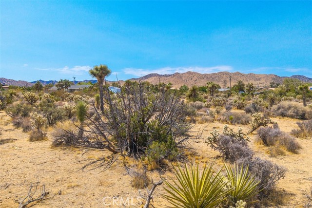 Detail Gallery Image 17 of 17 For 1234 Ivanhoe Dr, Yucca Valley,  CA 92284 - – Beds | – Baths