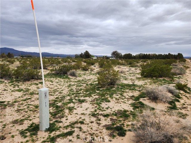 2 Summerset Road, Newberry Springs, California 92365, ,Land,For Sale,2 Summerset Road,CRHD24010319