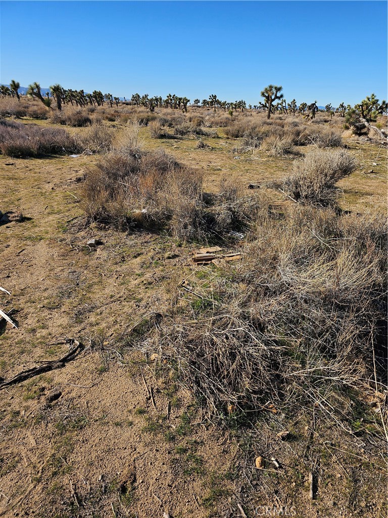 MLS #SR25266653 image #1